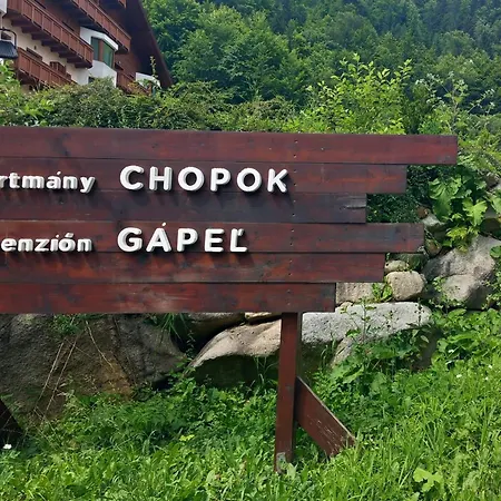 Alpinka, Chopok Juh Horná Lehota