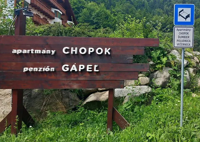 Alpinka, Chopok Juh Horná Lehota